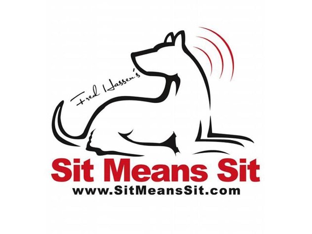 Workforce Management Sit Means Sit Dog Training