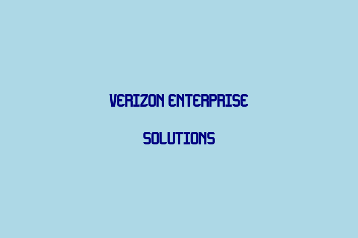 Application Development Company Verizon Enterprise Solutions