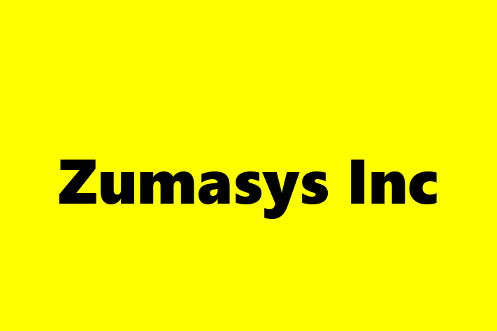 Software Services Company Zumasys Inc