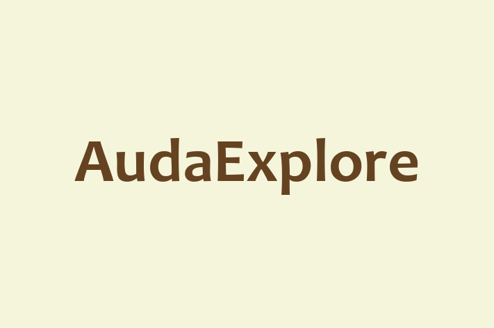 Software Services Company AudaExplore