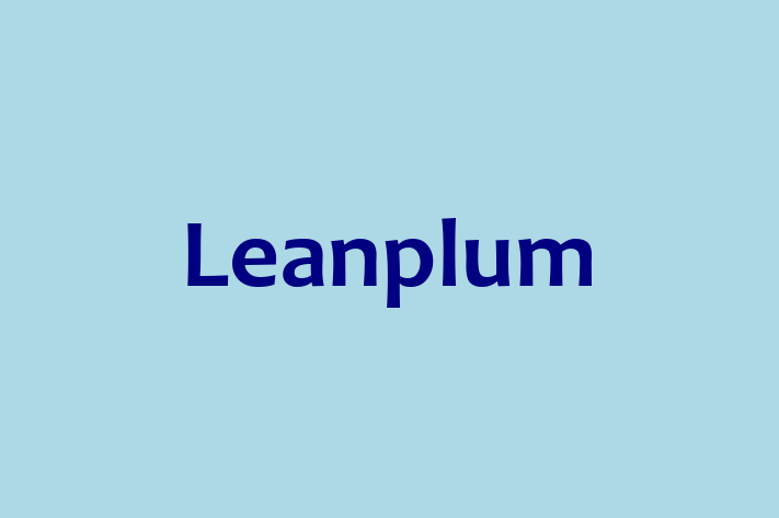 Technology Company Leanplum