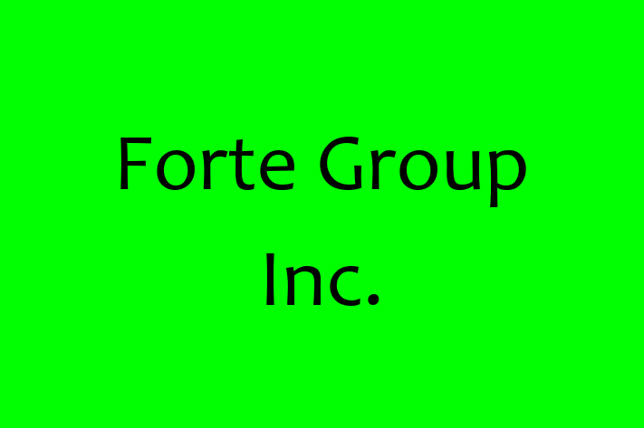 Software Development Company Forte Group Inc.