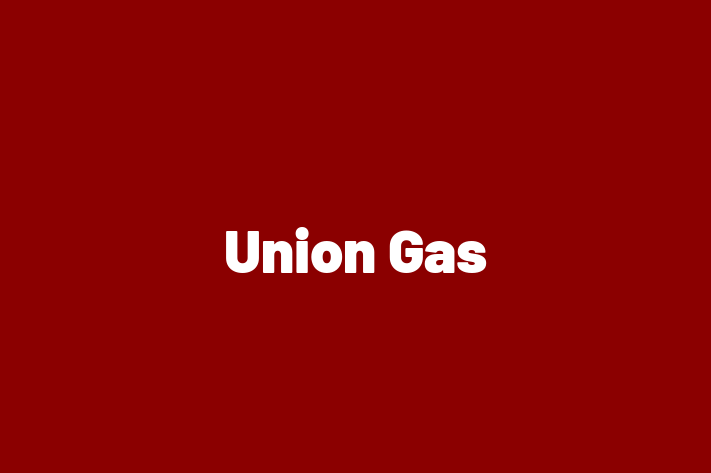 Application Development Company Union Gas