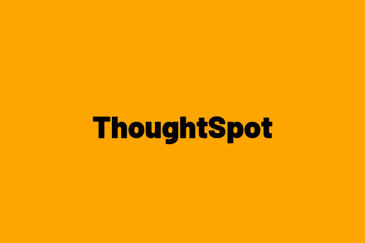 Software Solutions Provider ThoughtSpot