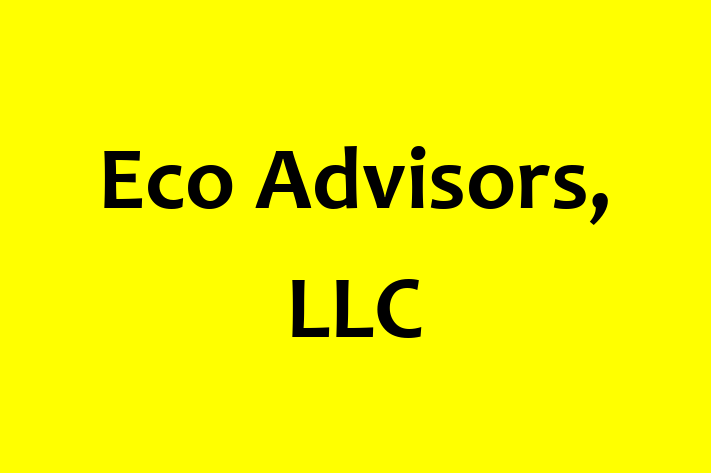 Software Firm Eco Advisors LLC