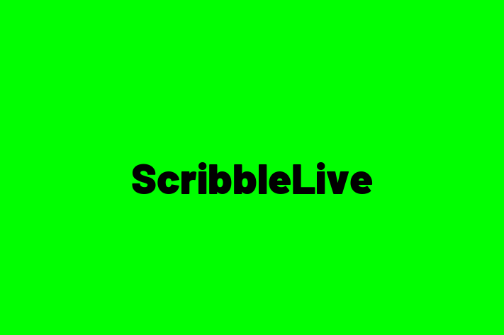 IT Company ScribbleLive