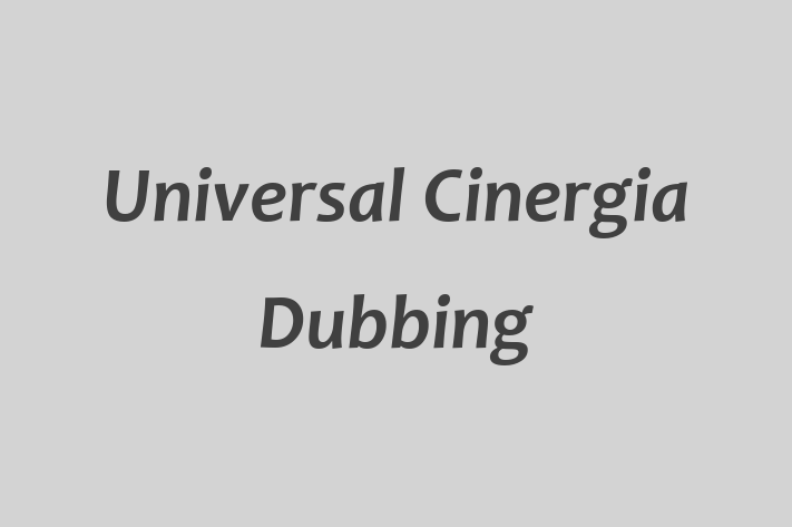 Workforce Management Universal Cinergia Dubbing