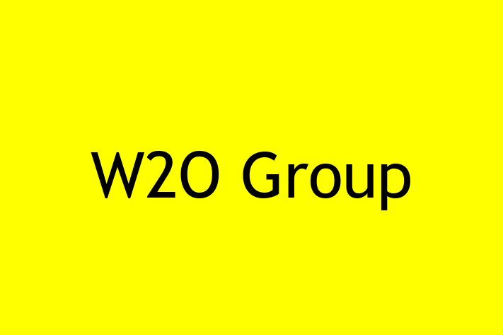 Software Firm W2O Group