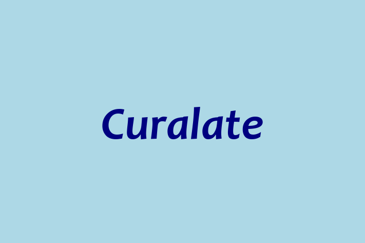 Technology Solutions Firm Curalate