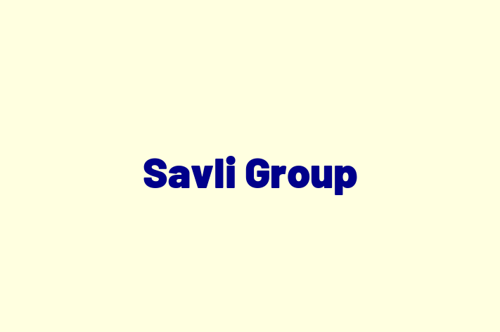 Software Solutions Provider Savli Group