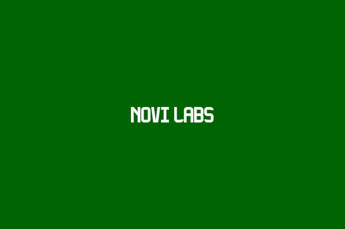 Software Consultancy Novi Labs