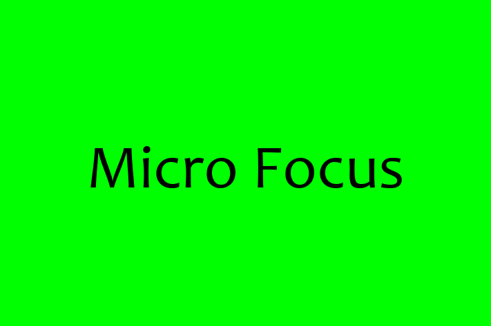 Digital Solutions Provider Micro Focus