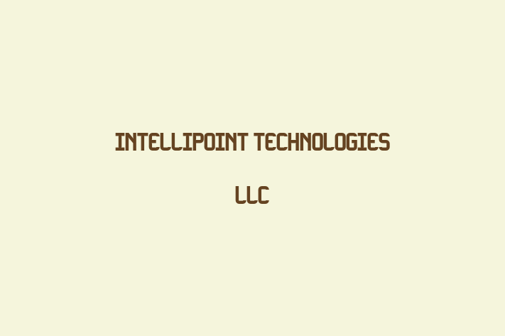 Technology Solutions Firm Intellipoint Technologies Llc