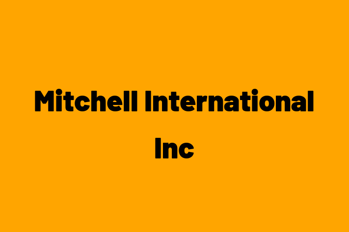 IT Company Mitchell International Inc