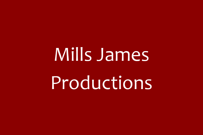 Software Consultancy Mills James Productions