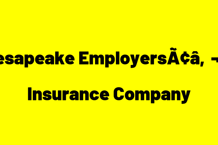 Talent Management Chesapeake Employers Insurance Company