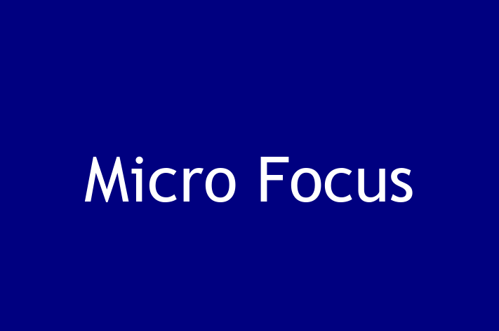 Application Development Company Micro Focus