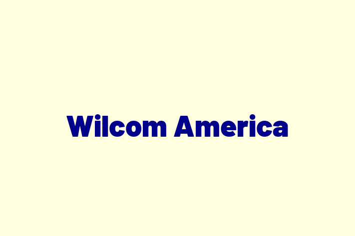 Technology Solutions Firm Wilcom America