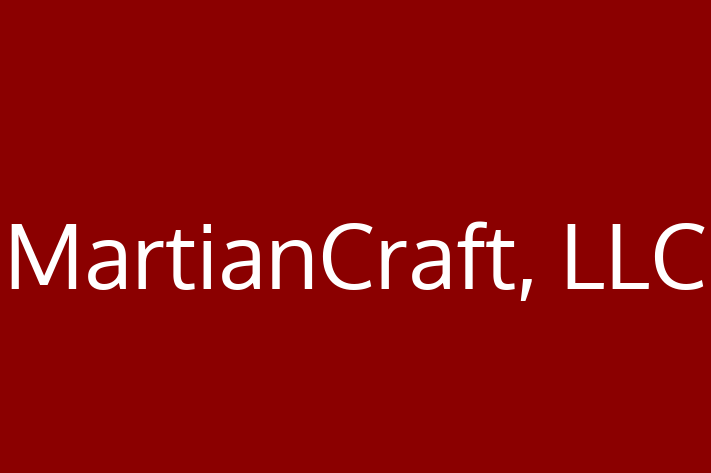 Software Consultancy MartianCraft LLC