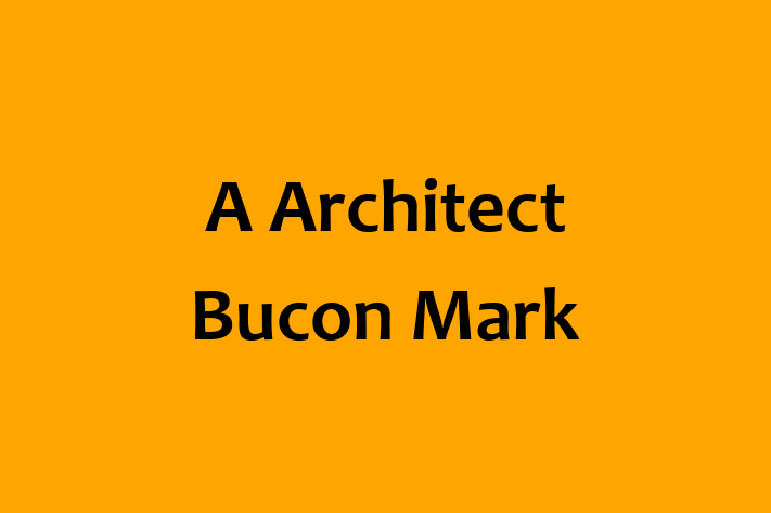 Architect planner A Architect Bucon Mark