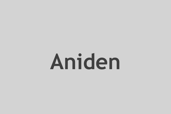 Tech Solutions Company Aniden