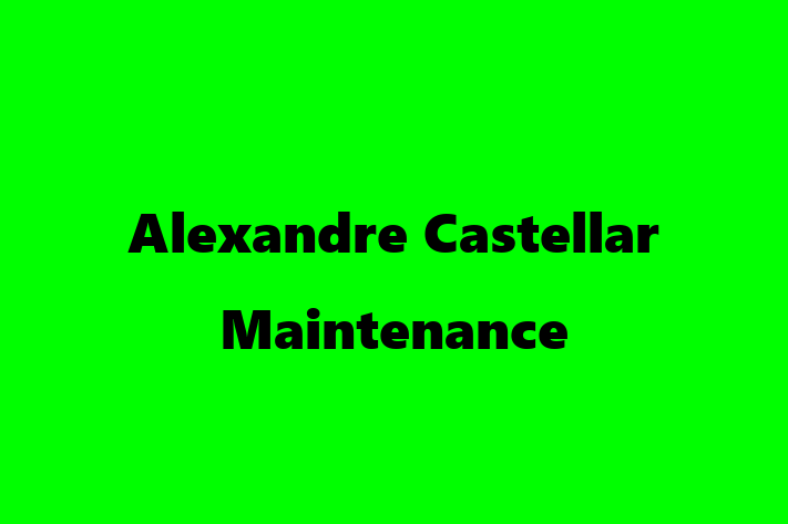 Residential Cleaning Alexandre Castellar Maintenance