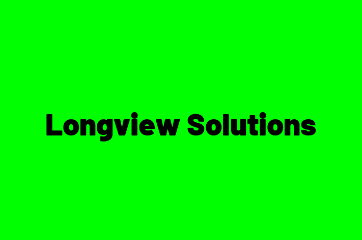 Technology Company Longview Solutions