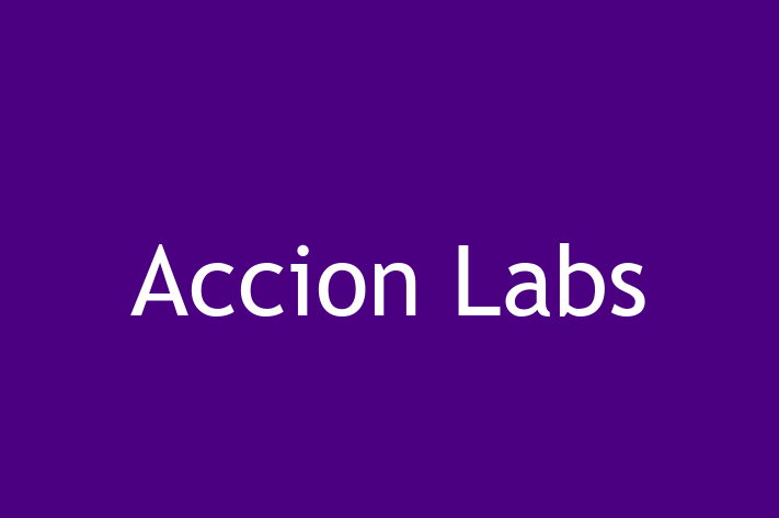 Software Solutions Provider Accion Labs