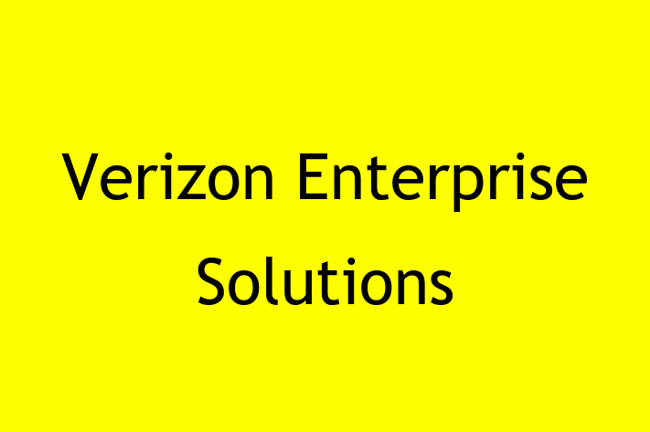 Tech Solutions Company Verizon Enterprise Solutions