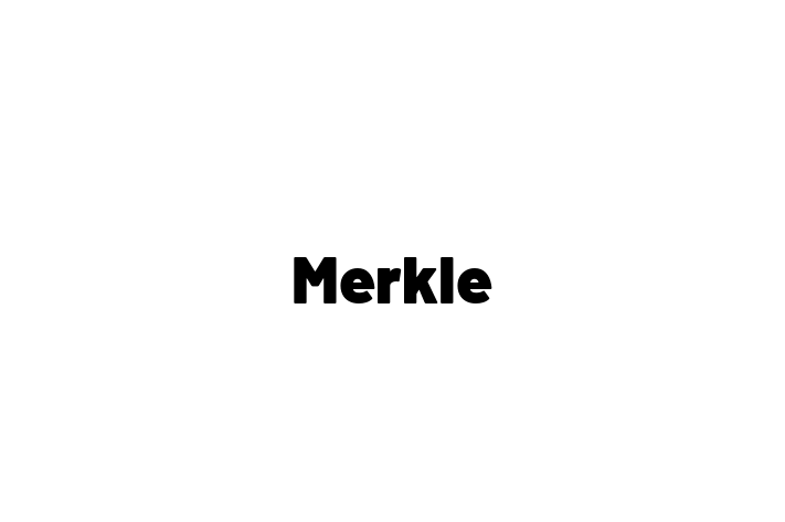 Software Development Firm Merkle