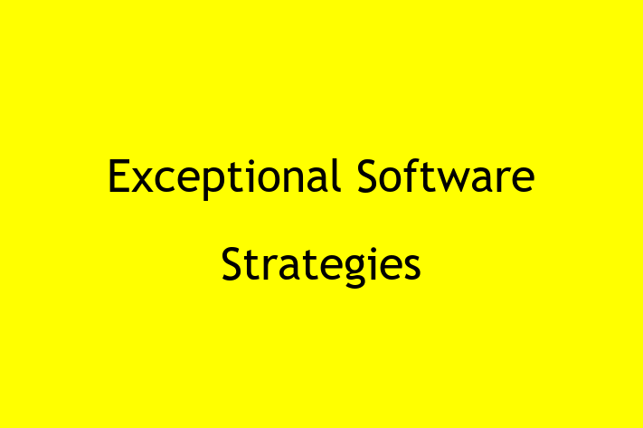 Software Development Firm Exceptional Software Strategies