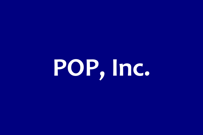 Digital Solutions Provider POP Inc.