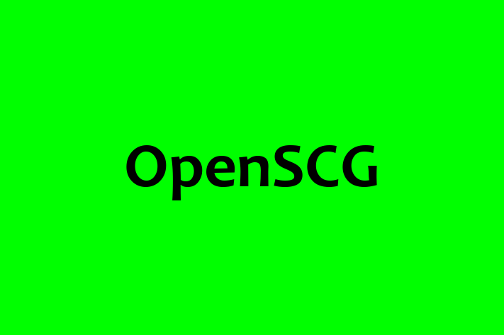 Software Firm OpenSCG