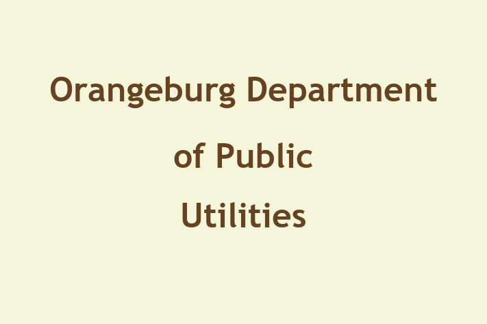 Software House Orangeburg Department of Public Utilities