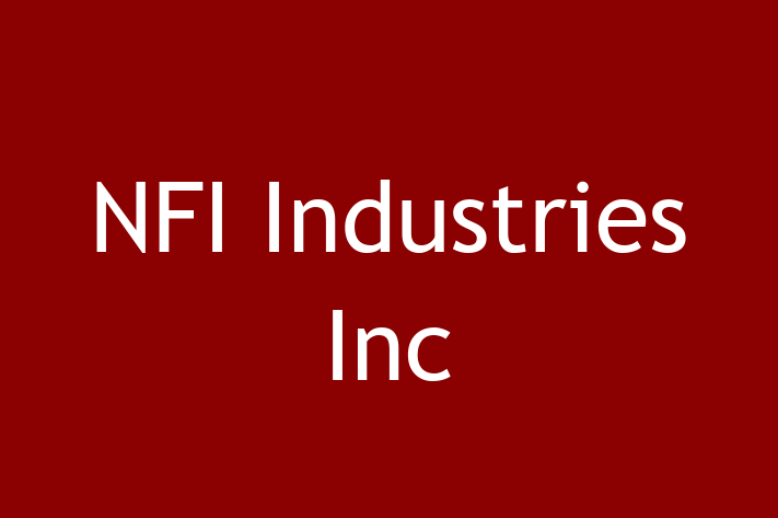 Technology Solutions Firm NFI Industries Inc