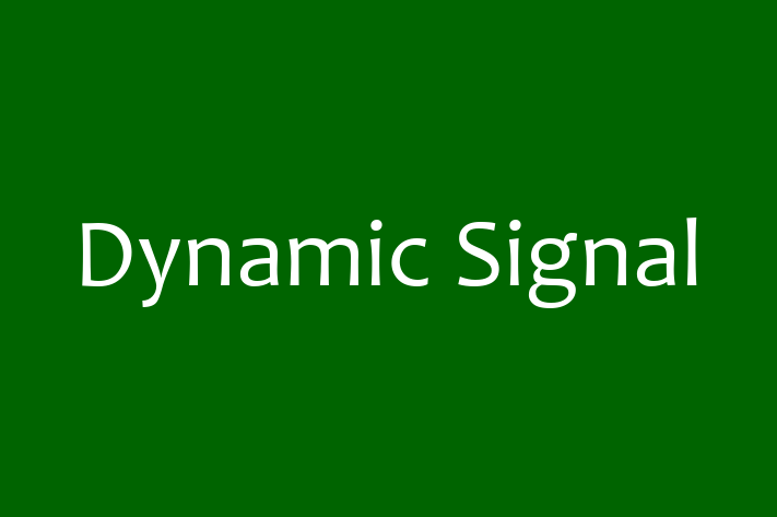 Software Services Company Dynamic Signal