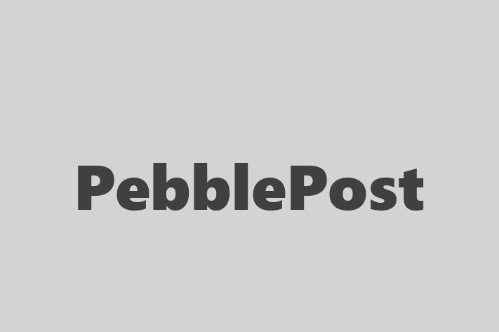 Application Development Company PebblePost