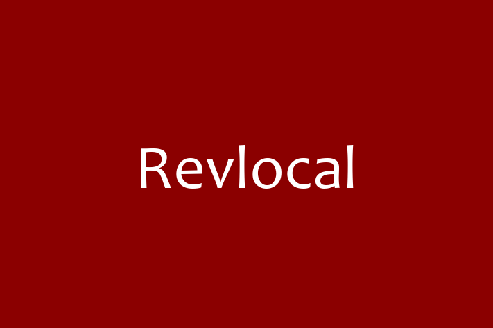 Software Solutions Provider Revlocal