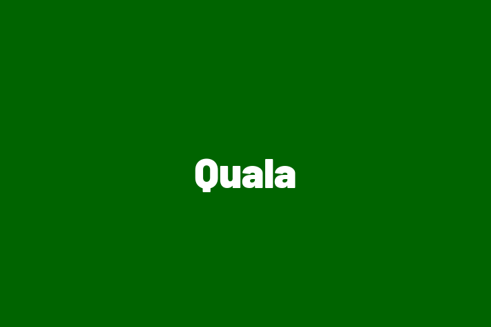 Human Capital Management Quala