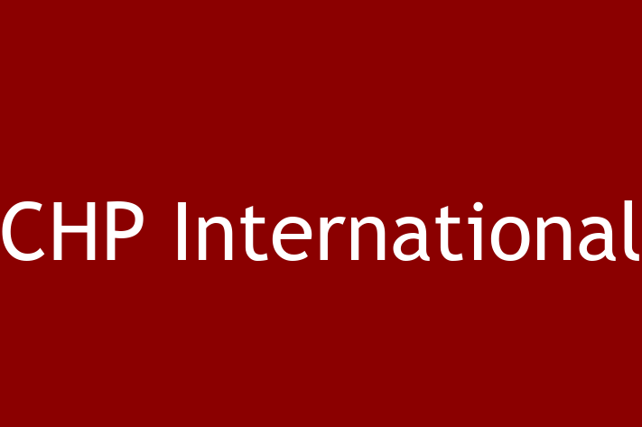 Technology Solutions Firm CHP International