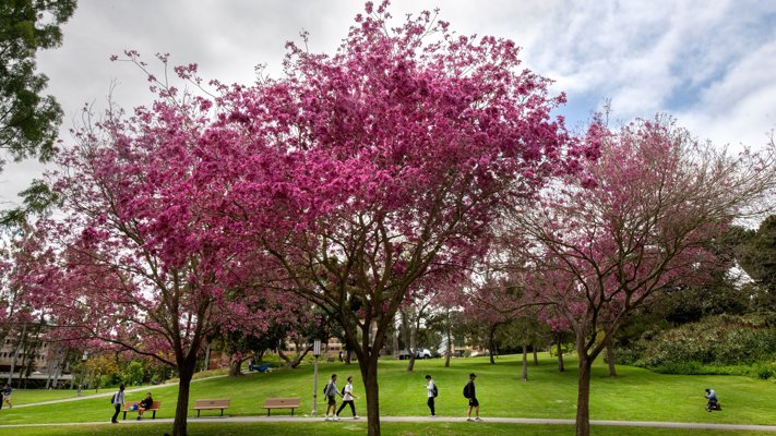 HR Administration University of California Irvine Division of Continuing Education