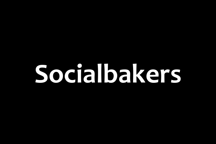 Software Solutions Provider Socialbakers