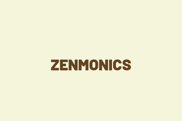 Software Development Firm ZENMONICS