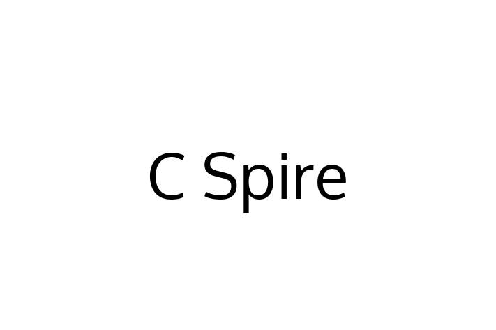 Tech Solutions Company C Spire