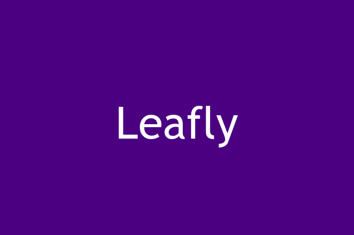 Software Engineering Company Leafly