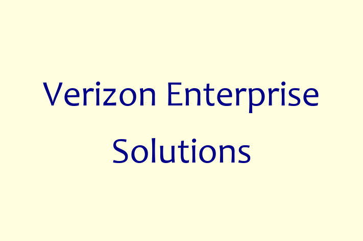 IT Company Verizon Enterprise Solutions