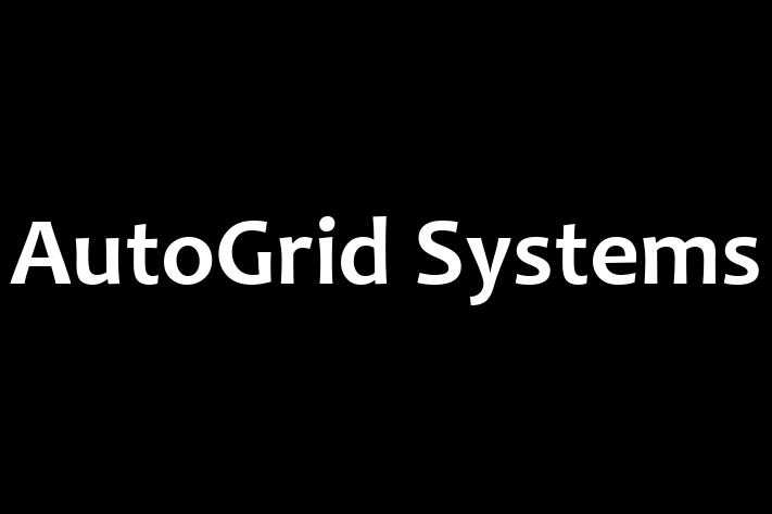 Software Engineering Company AutoGrid Systems