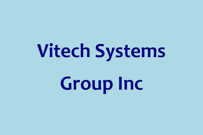 Technology Solutions Firm Vitech Systems Group Inc