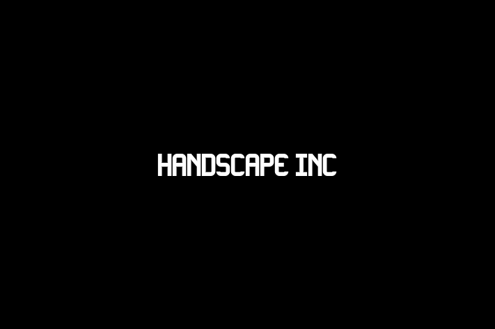 Software Engineering Company HandScape Inc