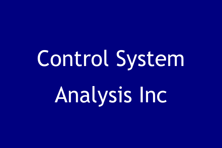 Software Services Company Control System Analysis Inc